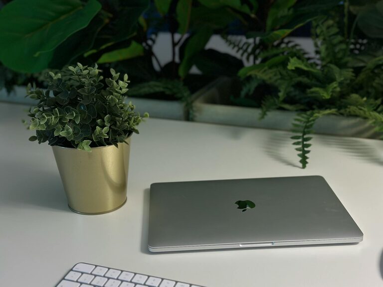 Easy Ways to Add Nature to Your Workspace for a Calmer, Happier Day